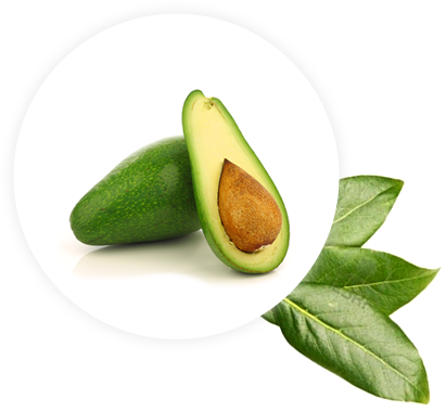 Palta Ettinger