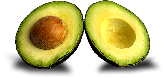 Palta